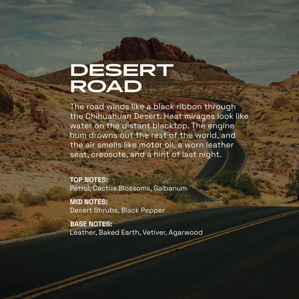 Desert Road Men's Cologne
