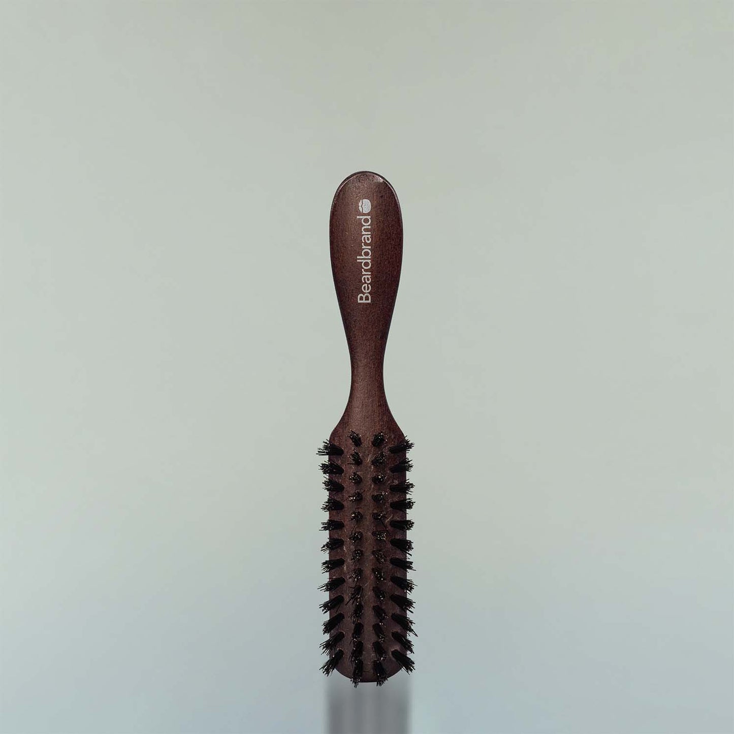Beard Brush