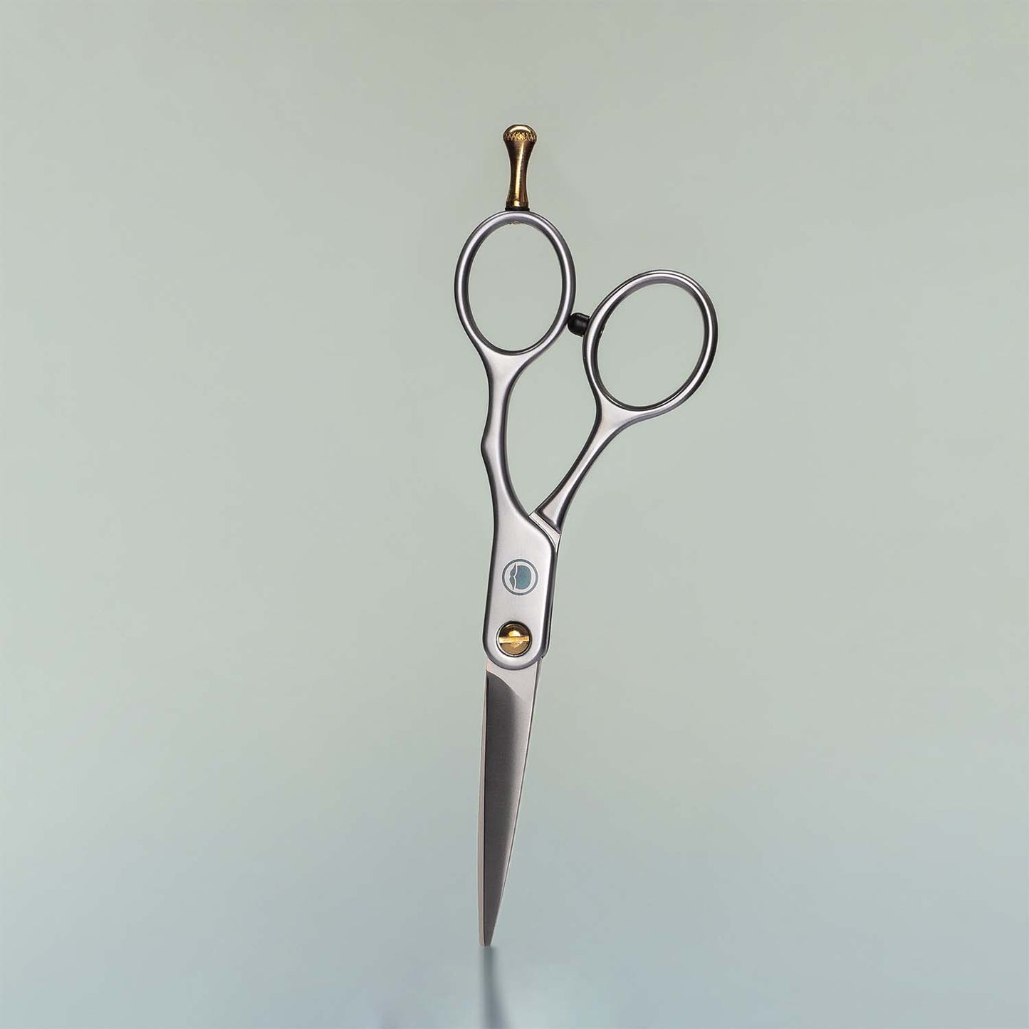 Beard Trimming Scissors