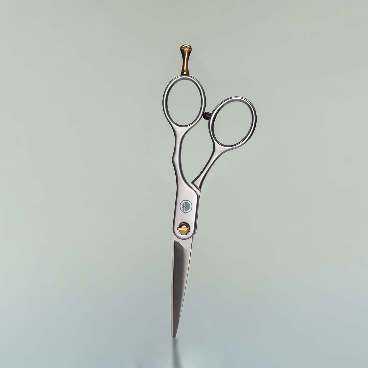 Beard Trimming Scissors